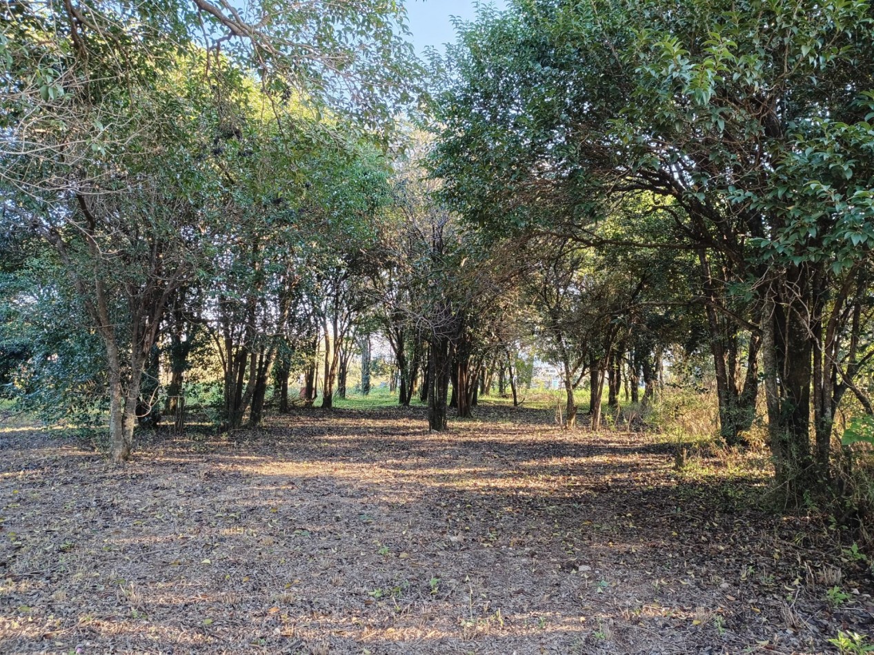VENDO LOTE 476 M² EN AIRES DEL NORDESTE - VISTA DIRECTA A LAS SIERRAS