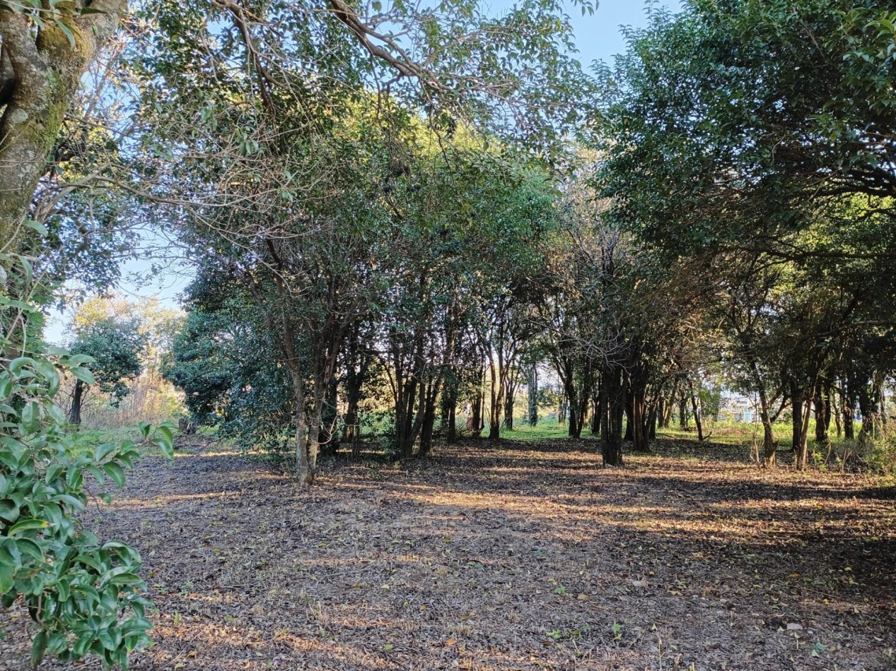 VENDO LOTE 476 M² EN AIRES DEL NORDESTE - VISTA DIRECTA A LAS SIERRAS