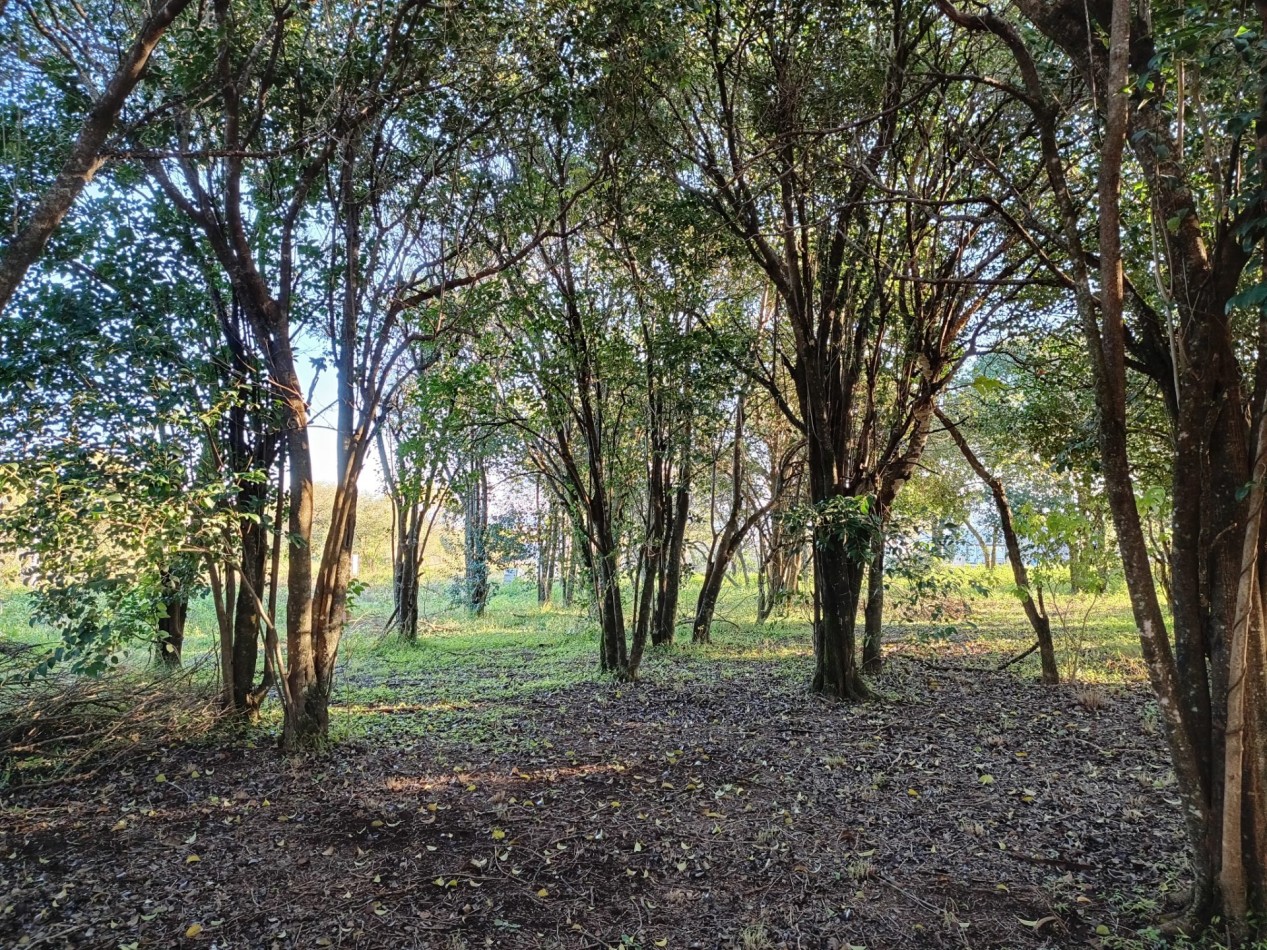 VENDO LOTE 476 M² EN AIRES DEL NORDESTE - VISTA DIRECTA A LAS SIERRAS