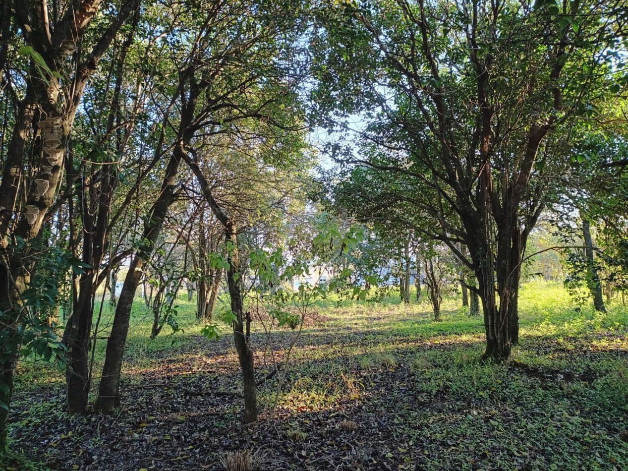 VENDO LOTE 476 M² EN AIRES DEL NORDESTE - VISTA DIRECTA A LAS SIERRAS