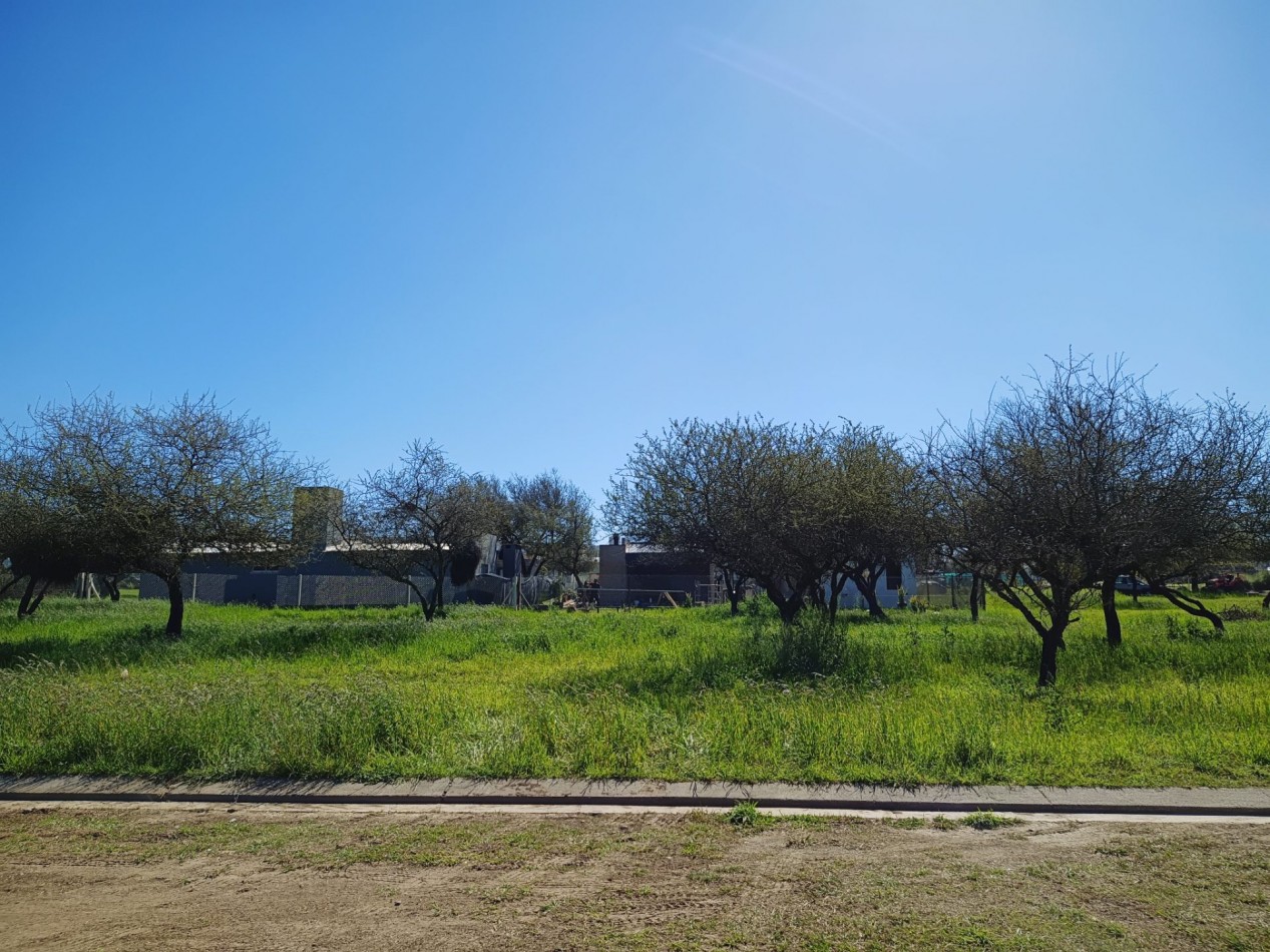 VENDO LOTE 1.223 m² - BELA VISTA