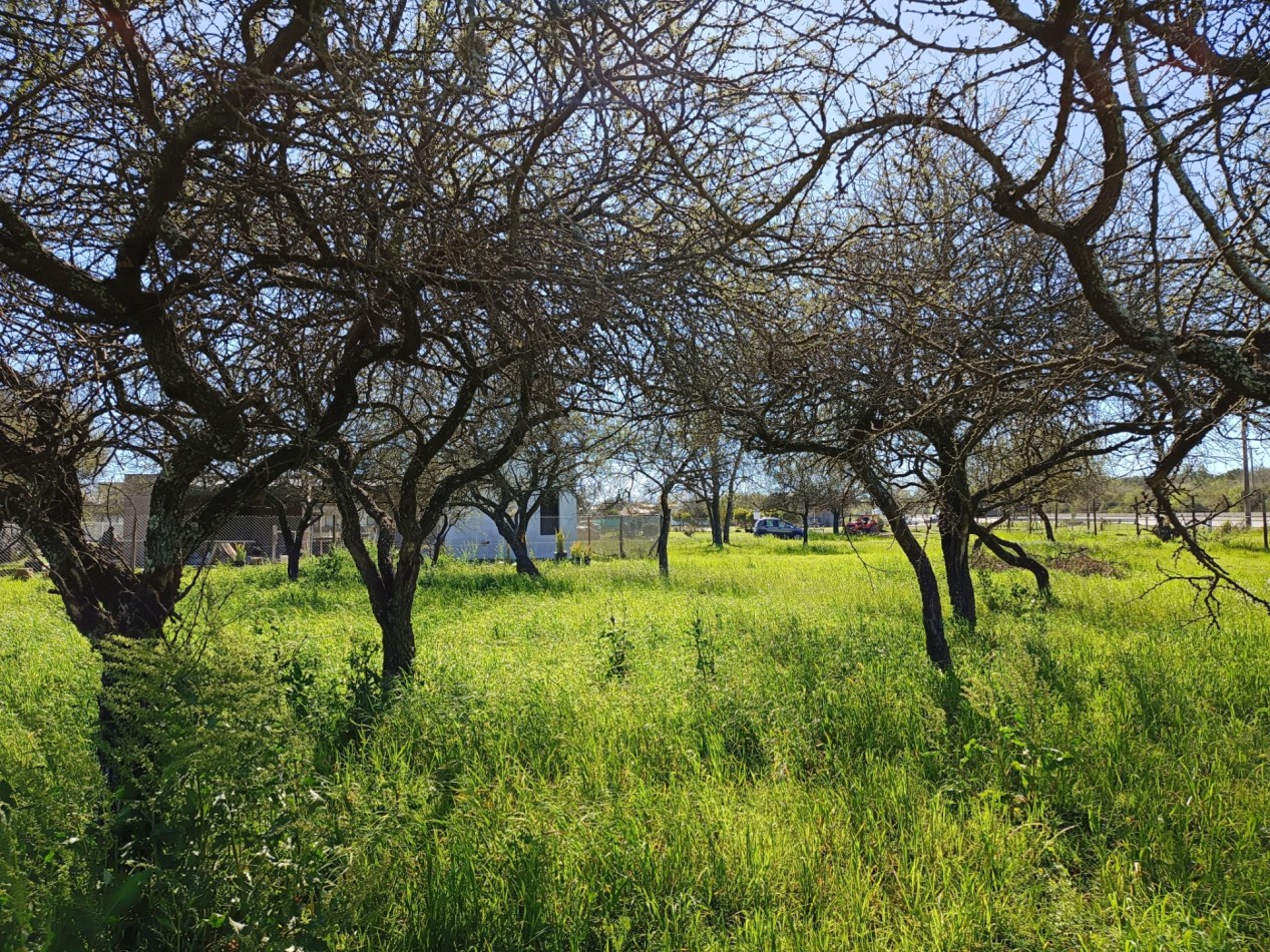 VENDO LOTE 1.223 m² - BELA VISTA
