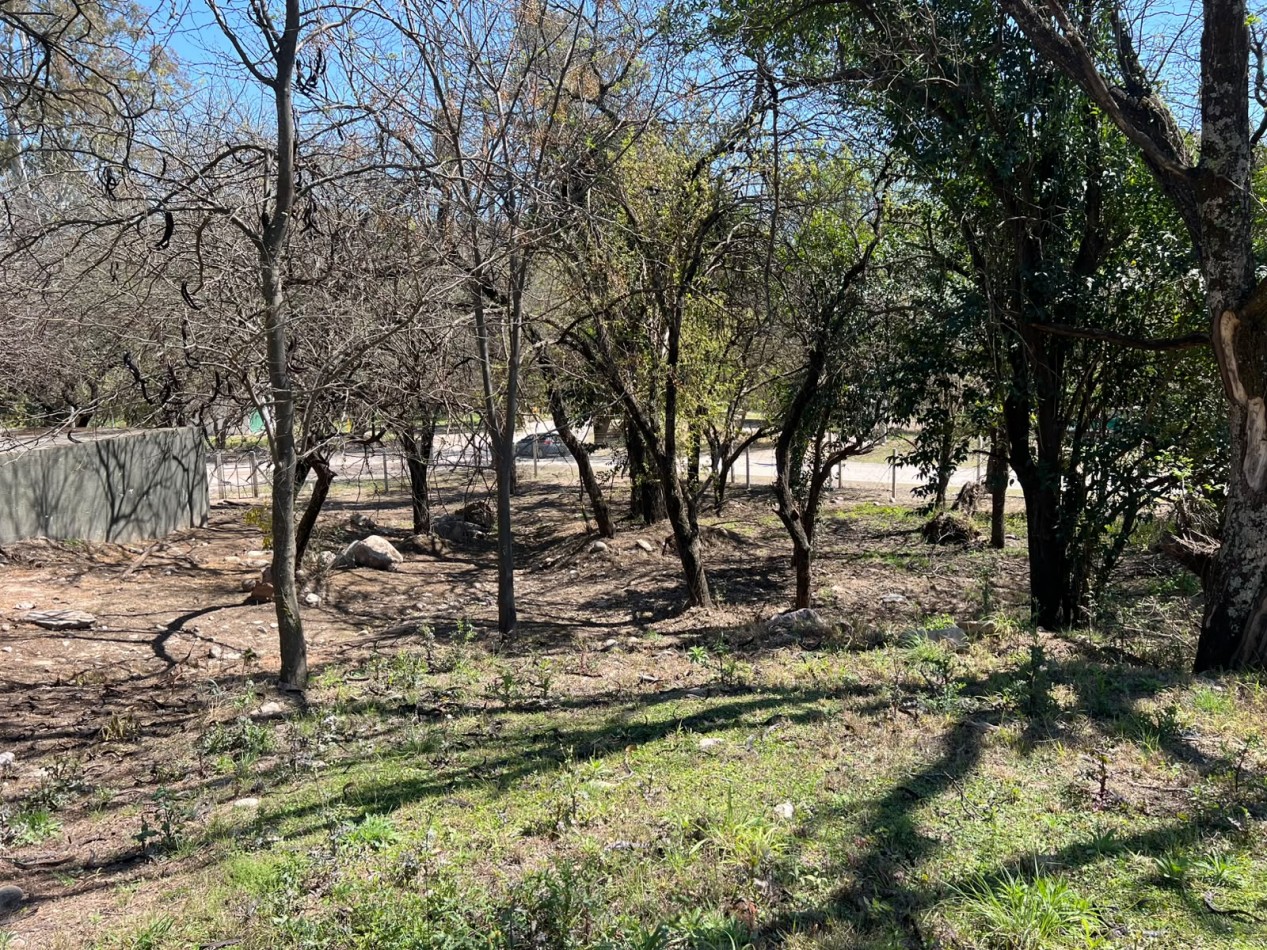 lote en venta Maitenes de la Deseada. Excelente oportunidad