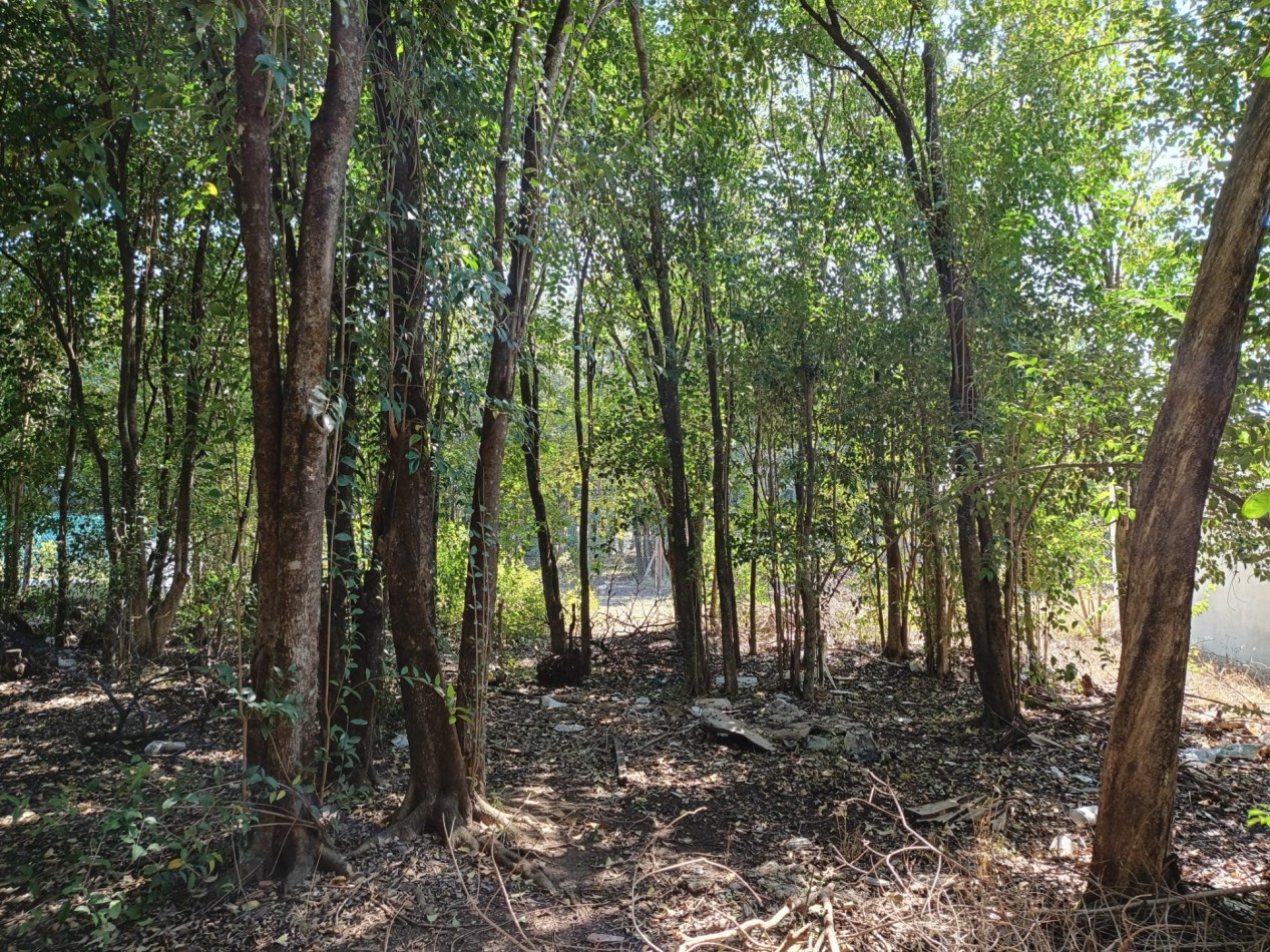 VENDO LOTE 300 M2 VILLA CATALINA ETAPA CAMPOS VERDES